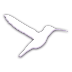 The Colibri logo, a hummingbird as a 3D-looking icon.